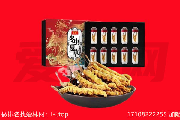 宁波市镇海回收虫草.jpg
